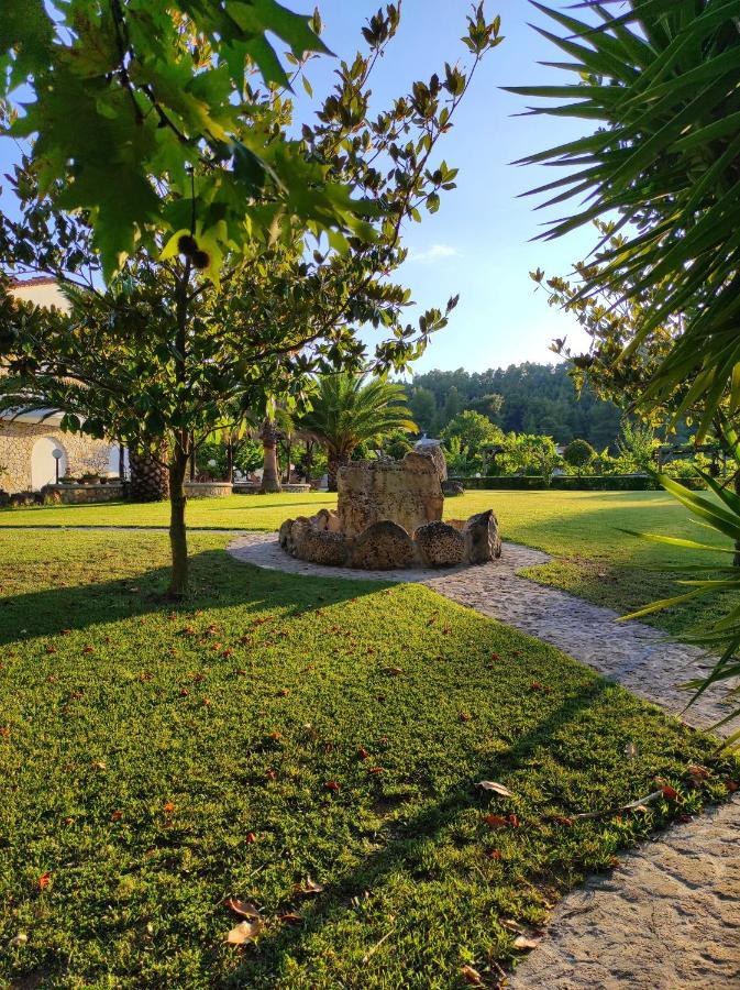 Chrouso Apartments Paliouri Dış mekan fotoğraf