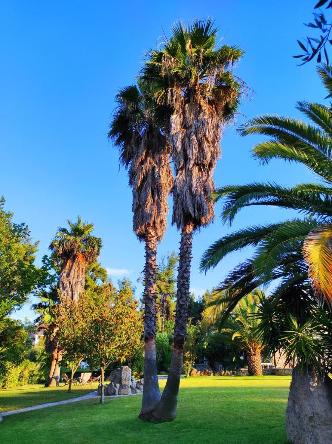 Chrouso Apartments Paliouri Dış mekan fotoğraf