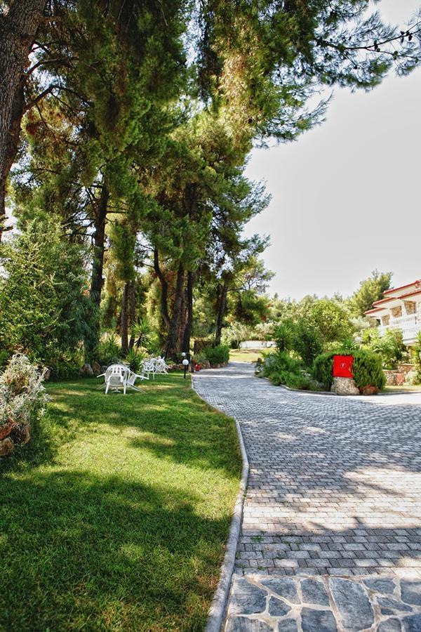 Chrouso Apartments Paliouri Dış mekan fotoğraf