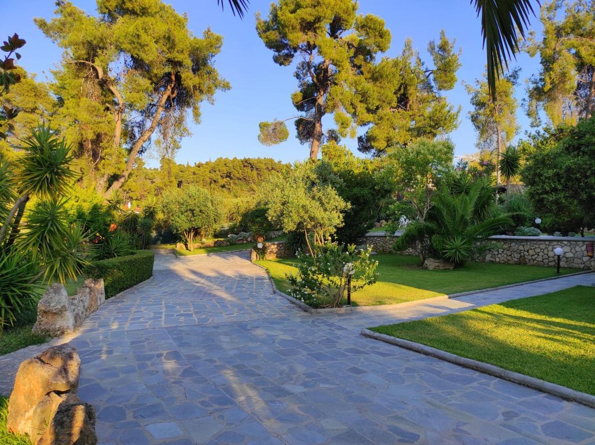 Chrouso Apartments Paliouri Dış mekan fotoğraf