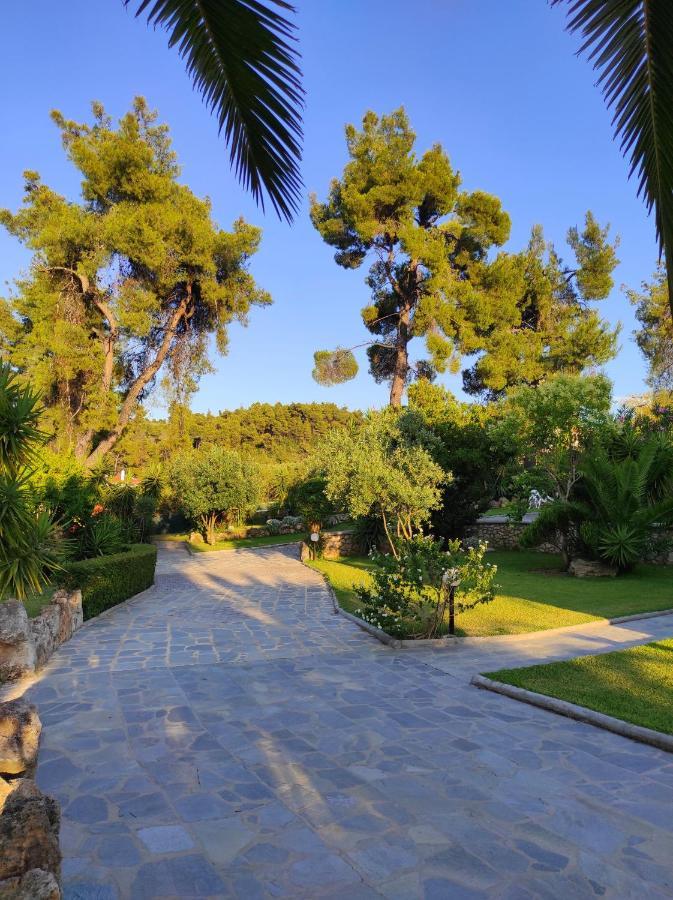 Chrouso Apartments Paliouri Dış mekan fotoğraf