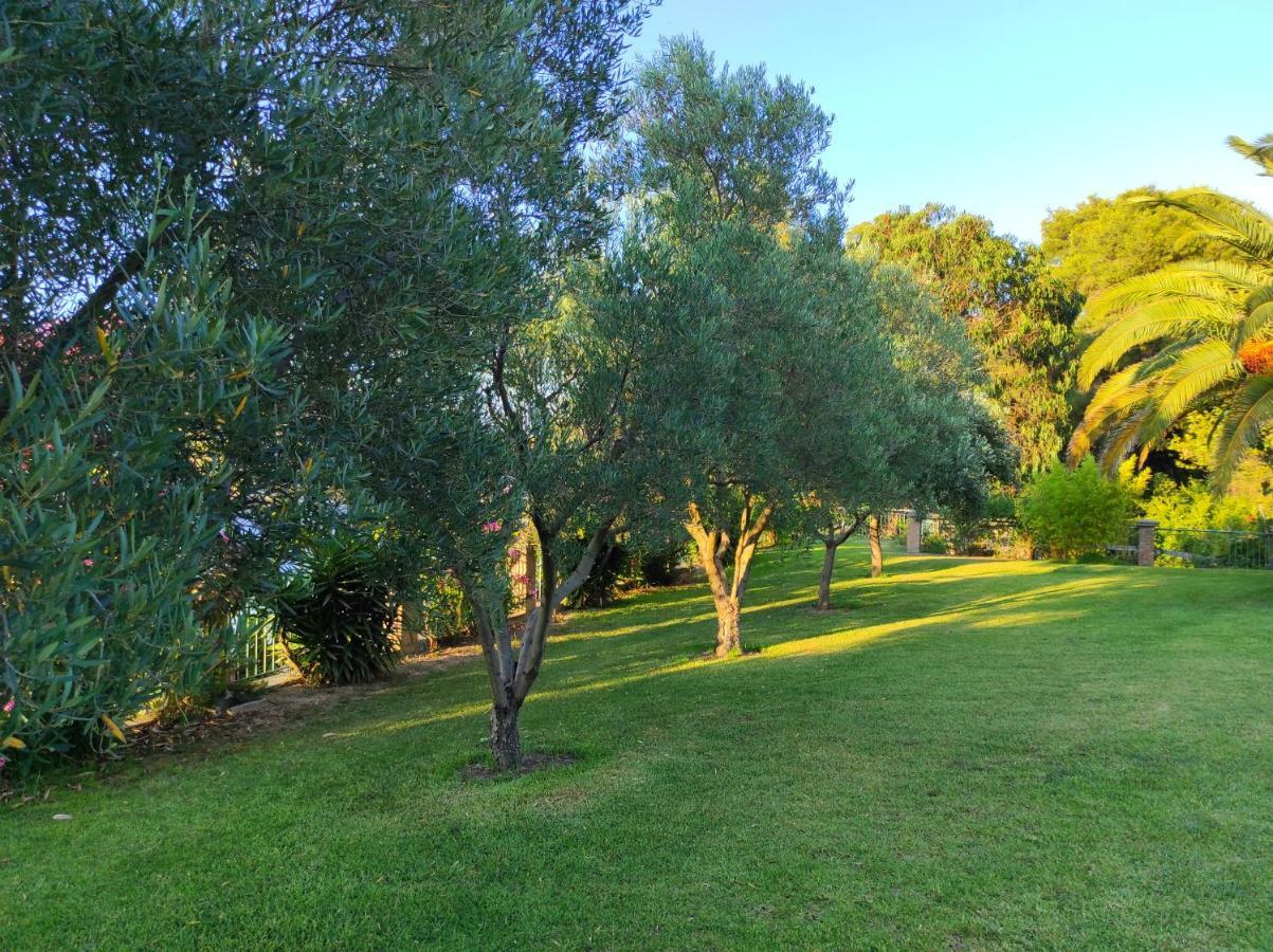 Chrouso Apartments Paliouri Dış mekan fotoğraf
