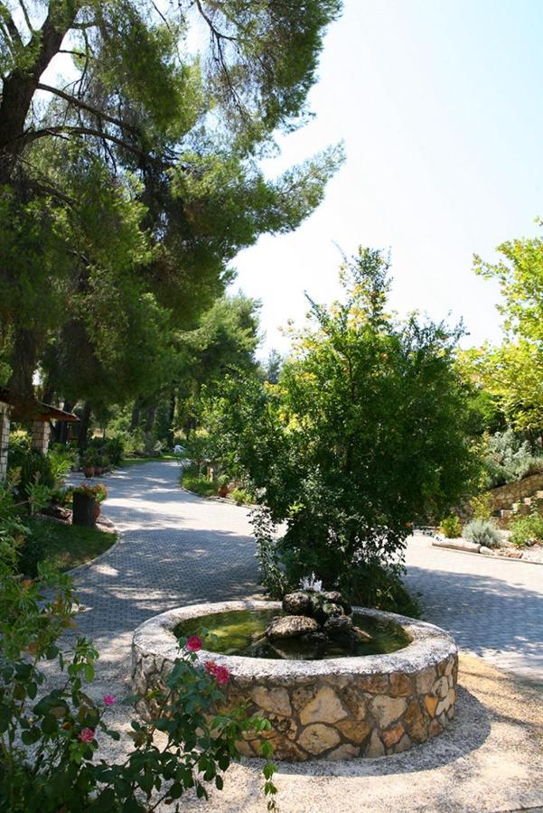 Chrouso Apartments Paliouri Dış mekan fotoğraf